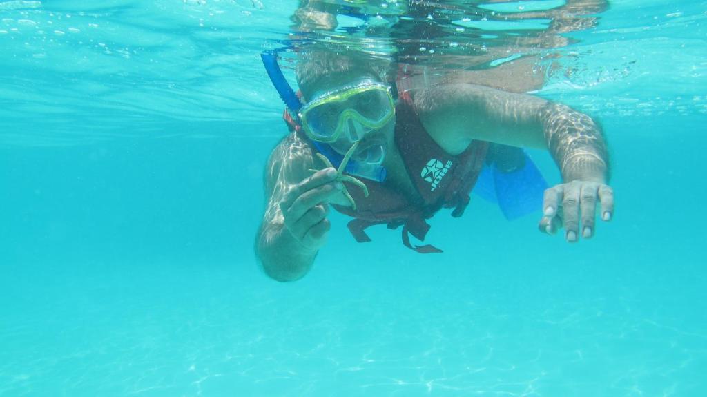 Isle Beach Inn Maldives エクステリア 写真